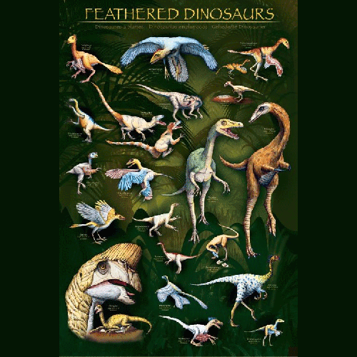 Feathered Dinosaurs Plakat 61 x 90 cm