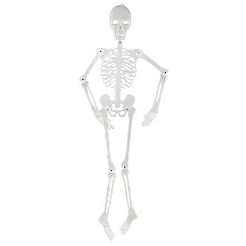 Halloween Skelet 160 cm - som kan hænge