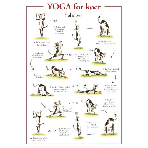 Yoga for køer – Sjov plakat til børneværelset  - 100 x 70 cm